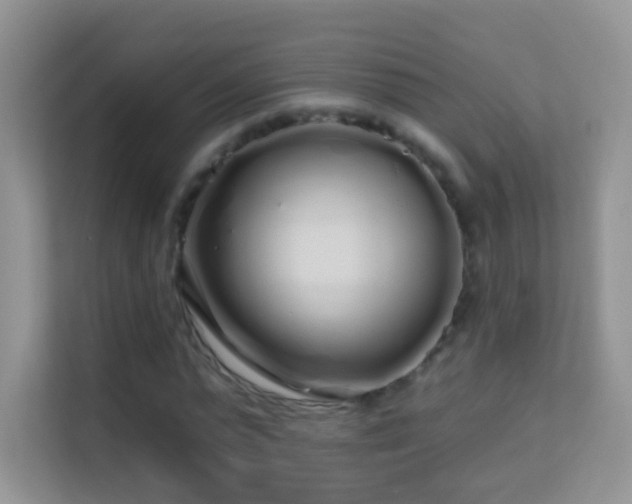 X0000113530775200909250905