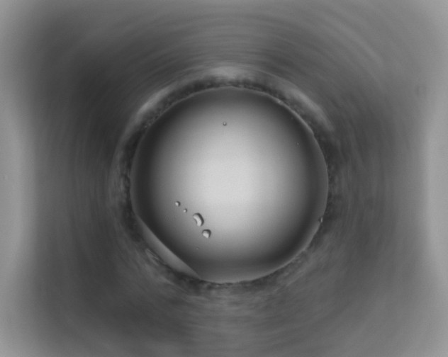 X0000113530776200909250905