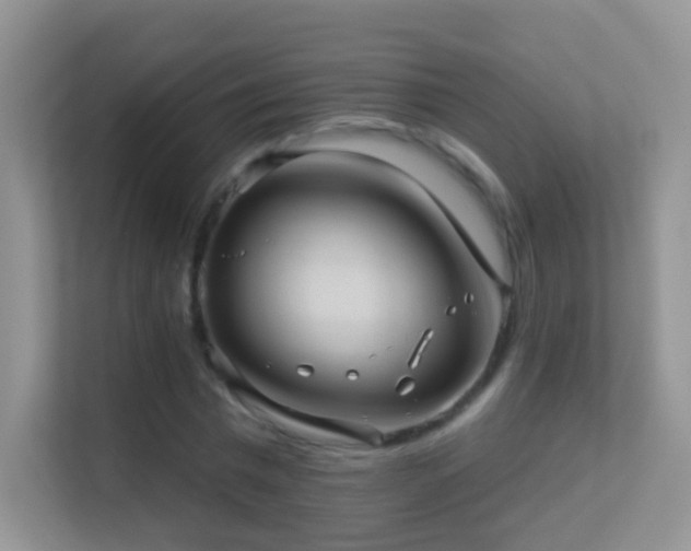 X0000113530777200909250905