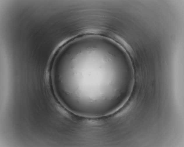 X0000113530779200909250905