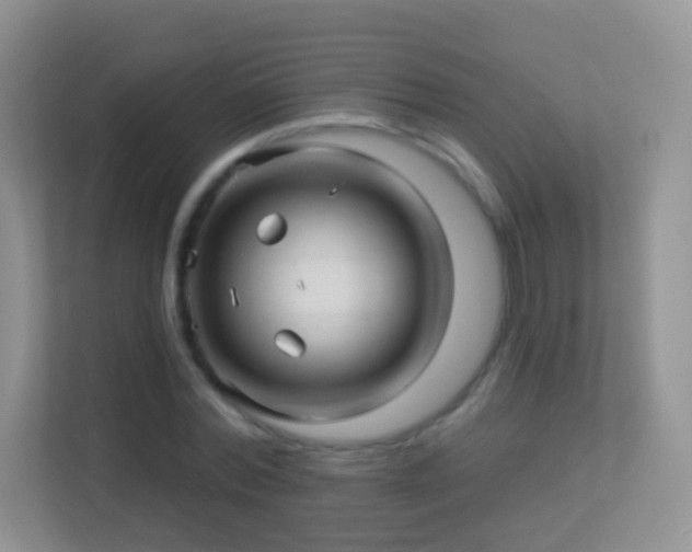 X0000113530780200909250905