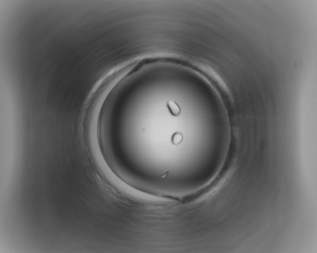 X0000113530781200909250905