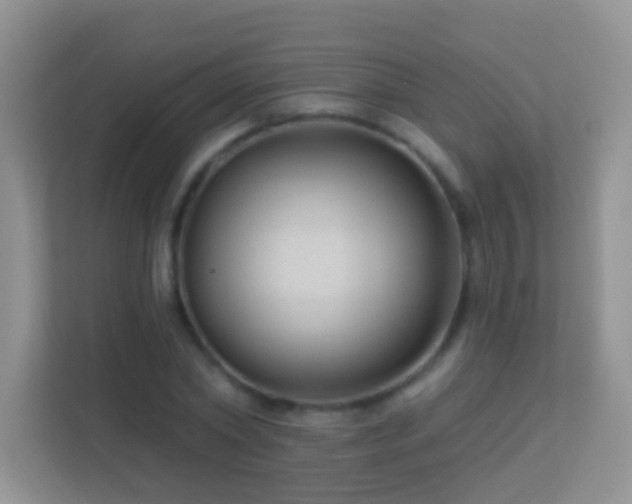 X0000113530782200909250905