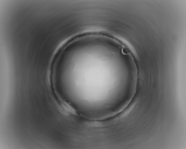 X0000113530783200909250905