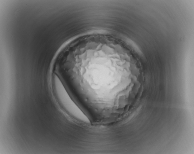 X0000113530784200909250905