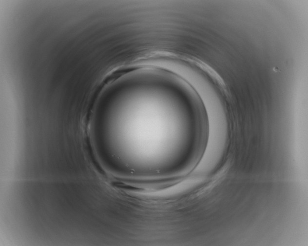 X0000113530785200909250905