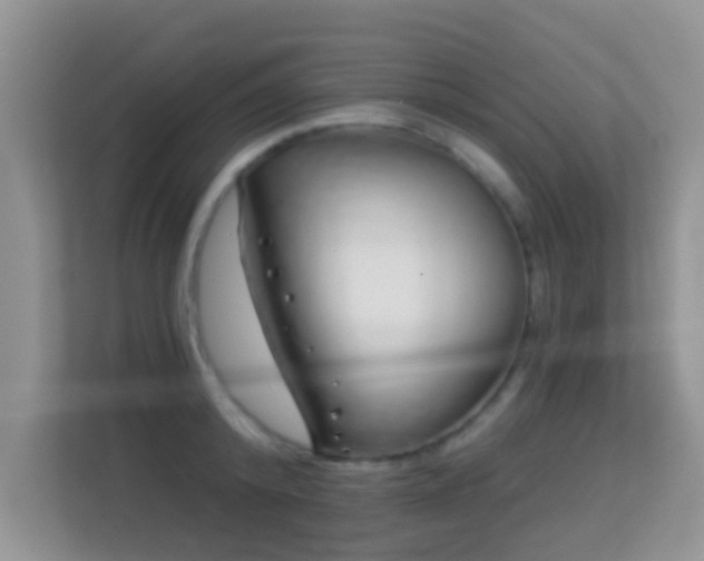 X0000113530800200909250905