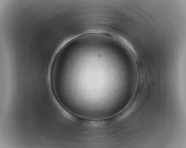 X0000113530803200909250905