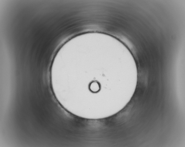 X0000113530807200909250905