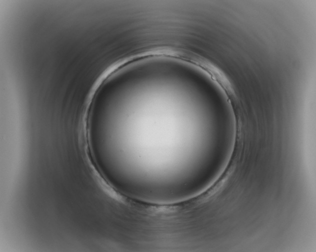 X0000113530808200909250905