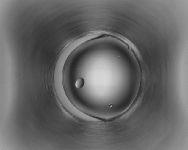 X0000113530809200909250905