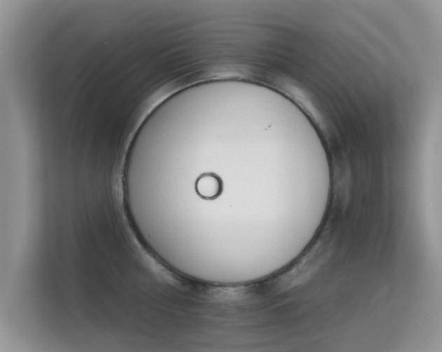 X0000113530810200909250905