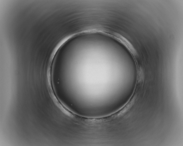 X0000113530812200909250904