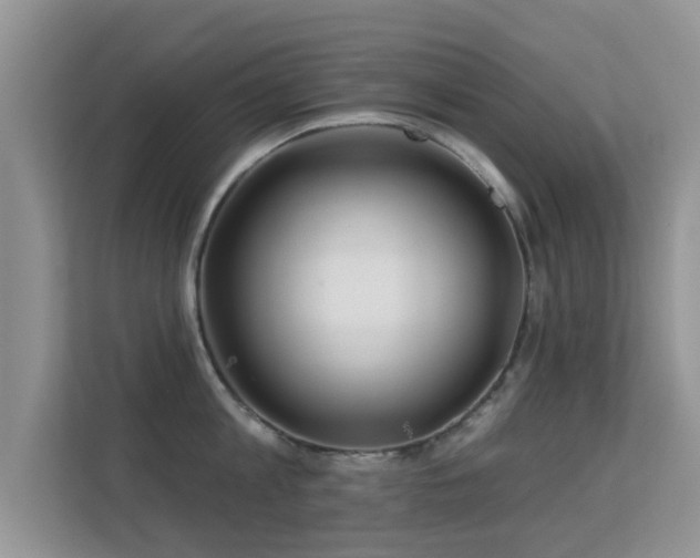 X0000113530813200909250904