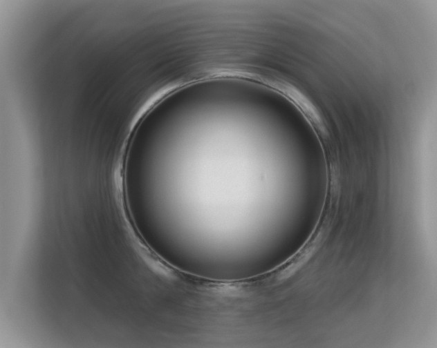 X0000113530814200909250904