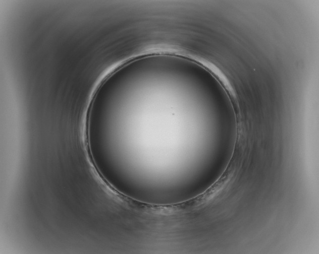 X0000113530815200909250904