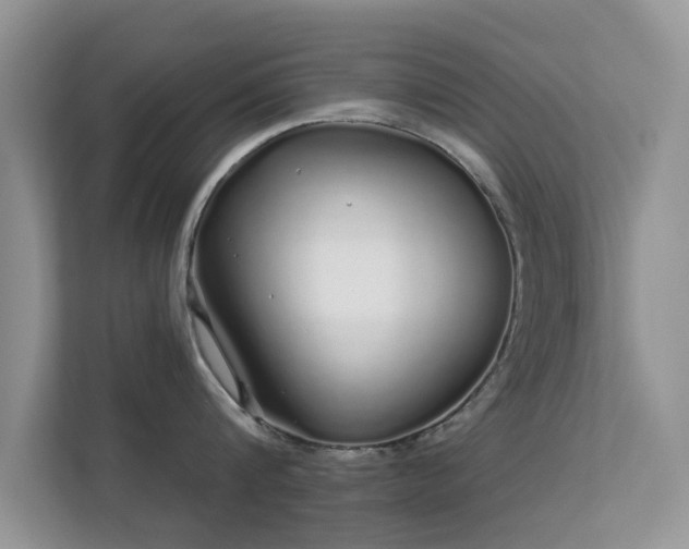 X0000113530816200909250904