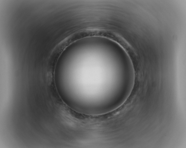 X0000113530821200909250904