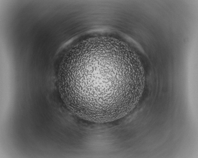 X0000113530822200909250904