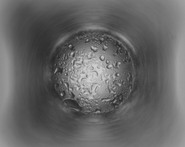 X0000113530823200909250904