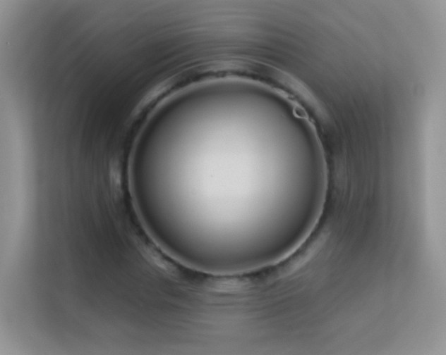 X0000113530826200909250904