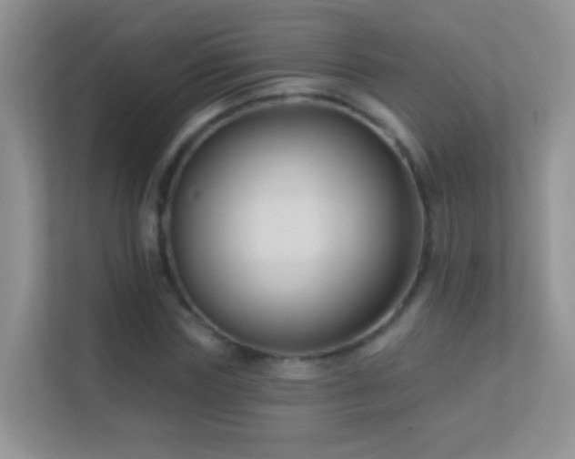 X0000113530827200909250904