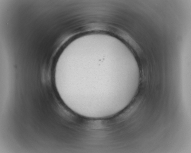 X0000113530828200909250904