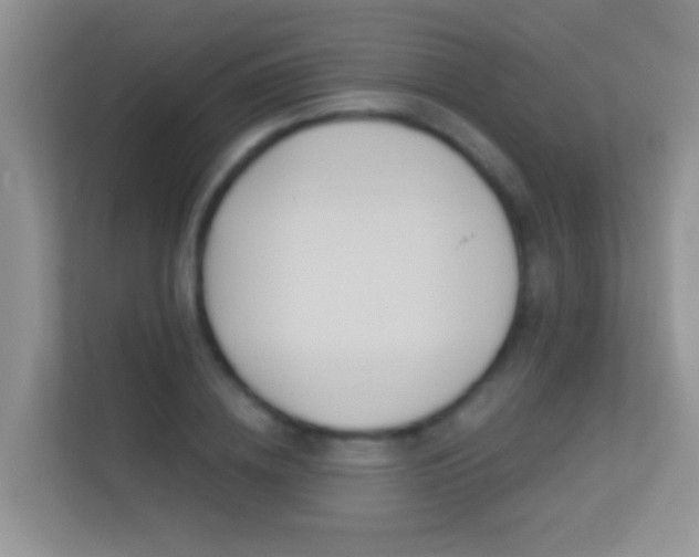 X0000113530836200909250904