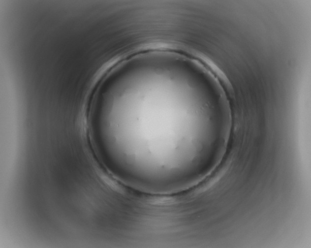 X0000113530837200909250904