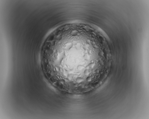 X0000113530839200909250904