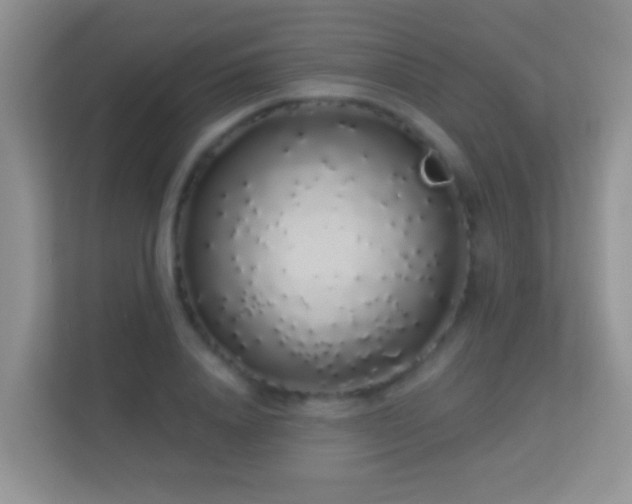 X0000113530840200909250904