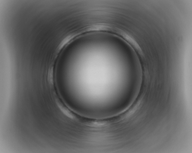 X0000113530842200909250904