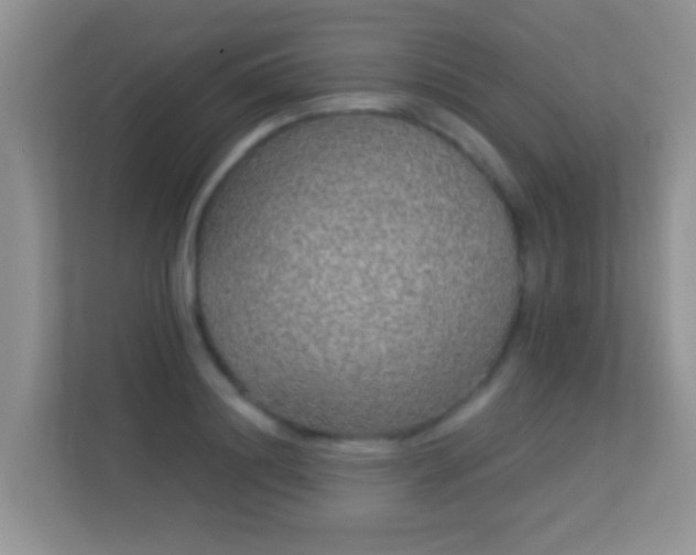 X0000113530844200909250904