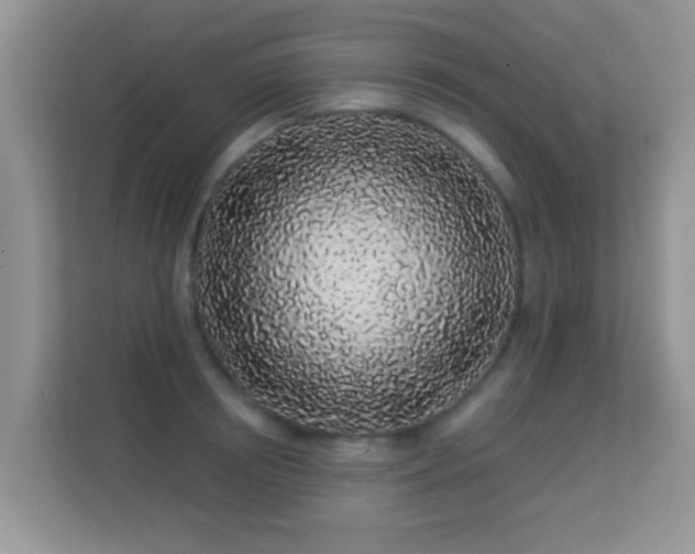 X0000113530850200909250904