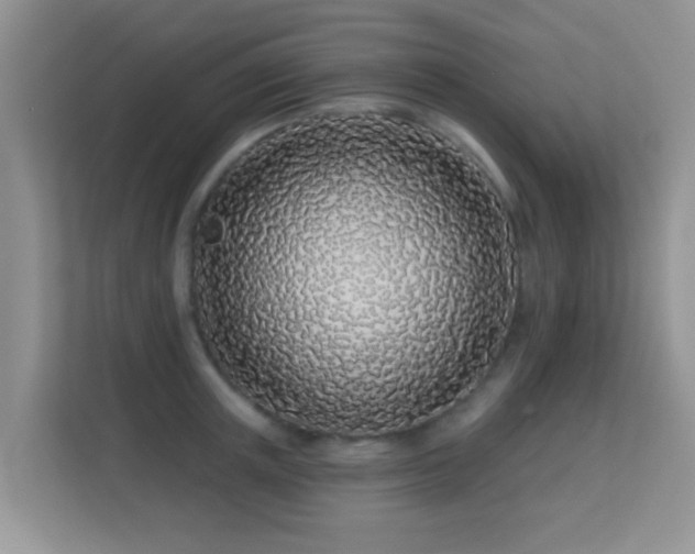 X0000113530851200909250904