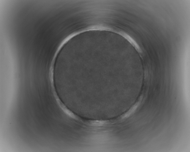 X0000113530854200909250904