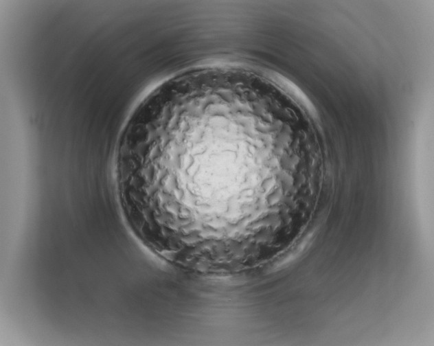 X0000113530855200909250904