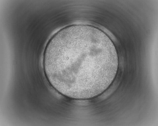 X0000113530856200909250904