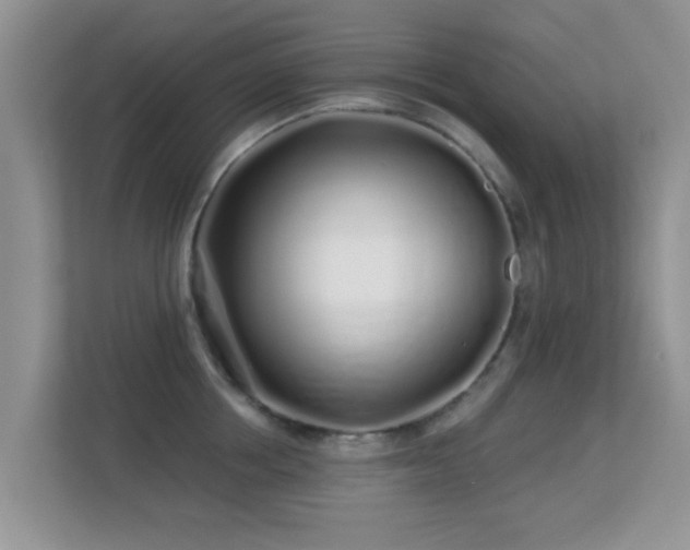 X0000113530858200909250904