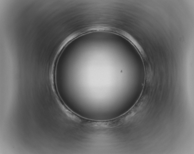 X0000113530861200909250904