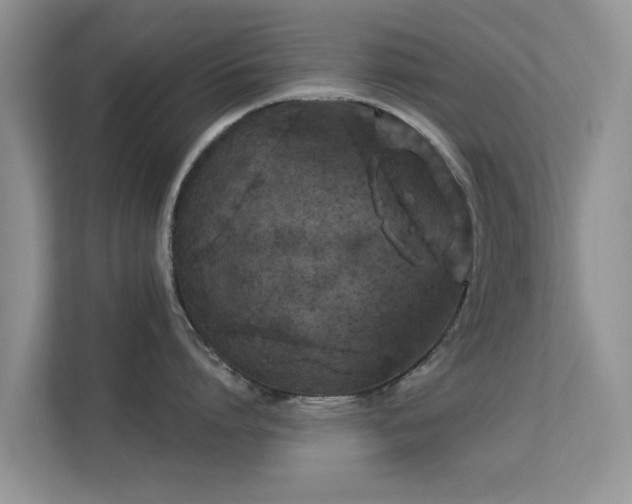 X0000113530864200909250904