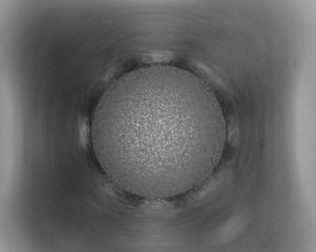 X0000113530866200909250904