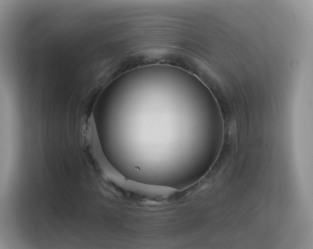 X0000113530868200909250904