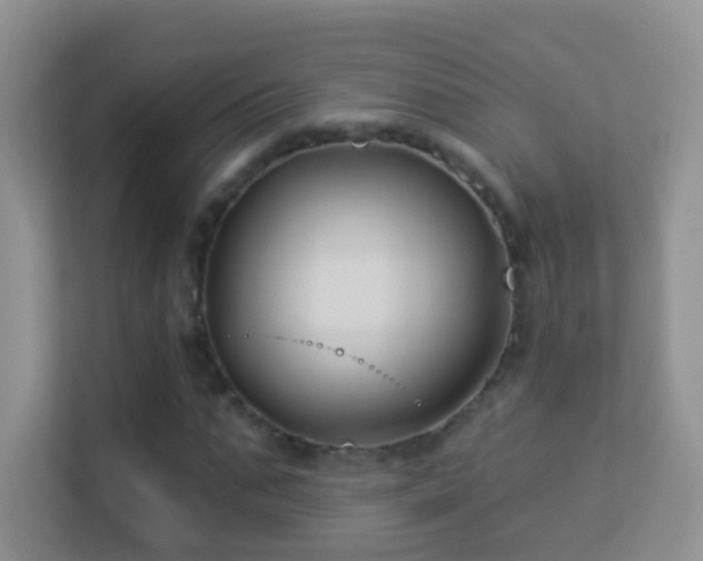 X0000113530871200909250904