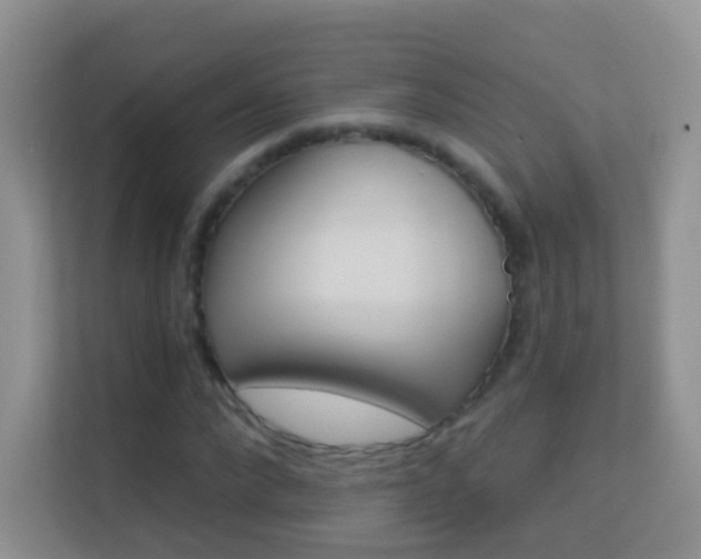 X0000113530872200909250904