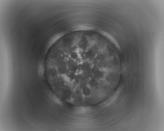 X0000113530874200909250904