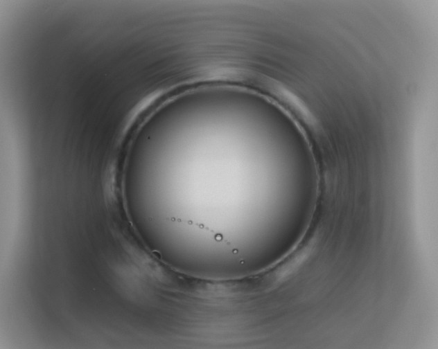 X0000113530875200909250904