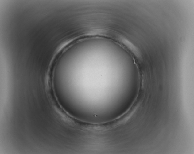 X0000113530876200909250904