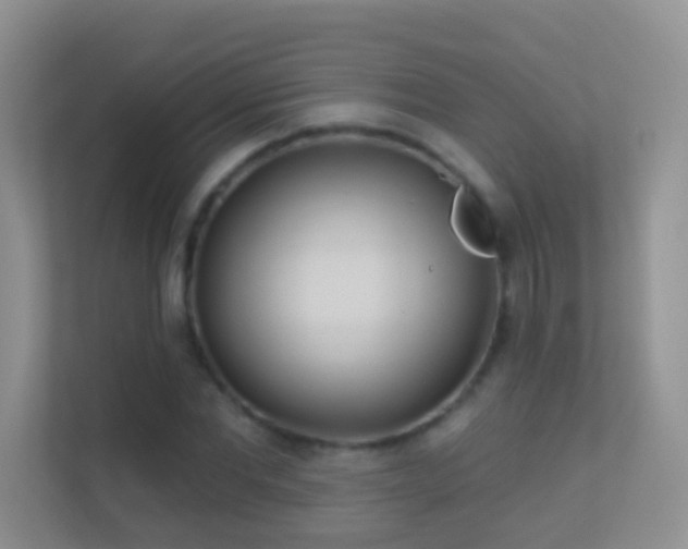 X0000113530877200909250904