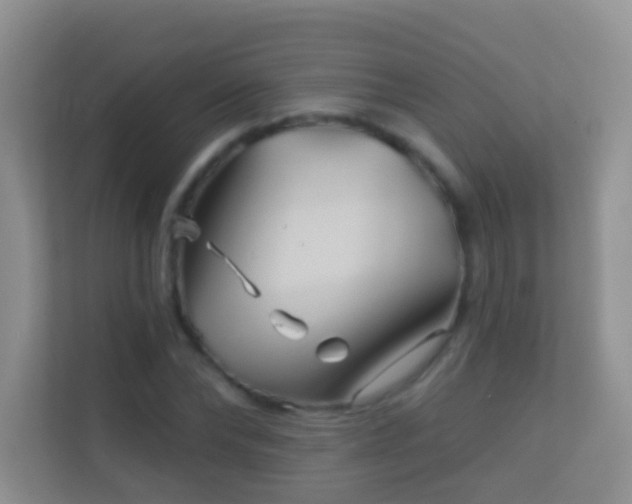 X0000113530878200909250904